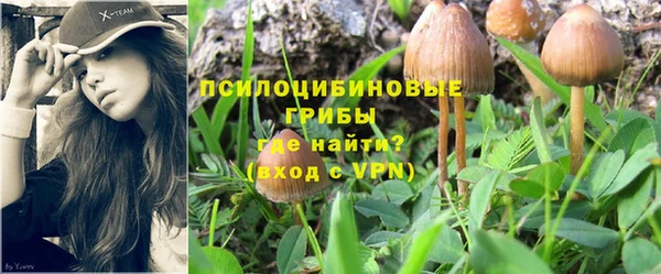 хмурый Белоозёрский