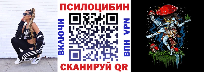 купить наркоту  kraken как зайти  Галлюциногенные грибы Magic Shrooms  Санкт-Петербург 